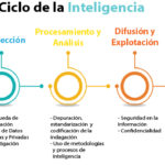 Ciclo de la Inteligencia