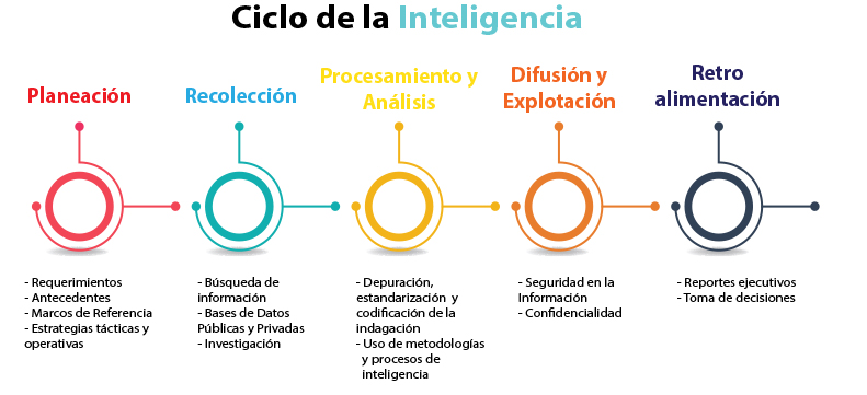 Ciclo de la Inteligencia